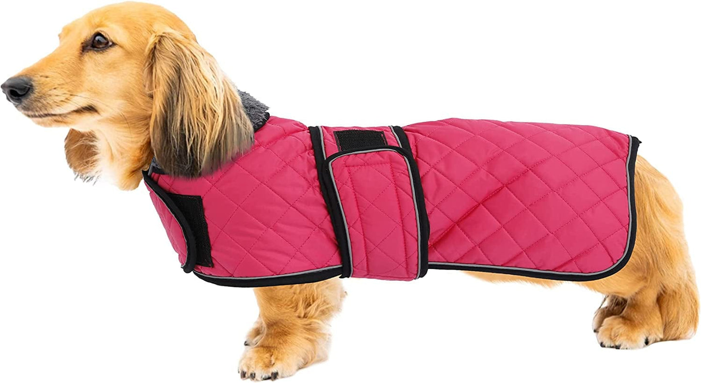 Warm Thermal Quilted Dachshund Coat, Dog Winter Coat with Warm Fleece Lining, Outdoor Dog Apparel with Adjustable Bands for Medium, Large Dog-Red-S Animals & Pet Supplies > Pet Supplies > Dog Supplies > Dog Apparel Geyecete Pink Large 