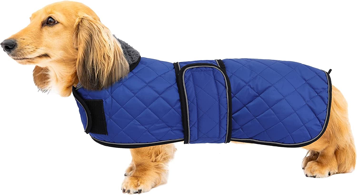 Warm Thermal Quilted Dachshund Coat, Dog Winter Coat with Warm Fleece Lining, Outdoor Dog Apparel with Adjustable Bands for Medium, Large Dog-Red-S Animals & Pet Supplies > Pet Supplies > Dog Supplies > Dog Apparel Geyecete Blue Medium 