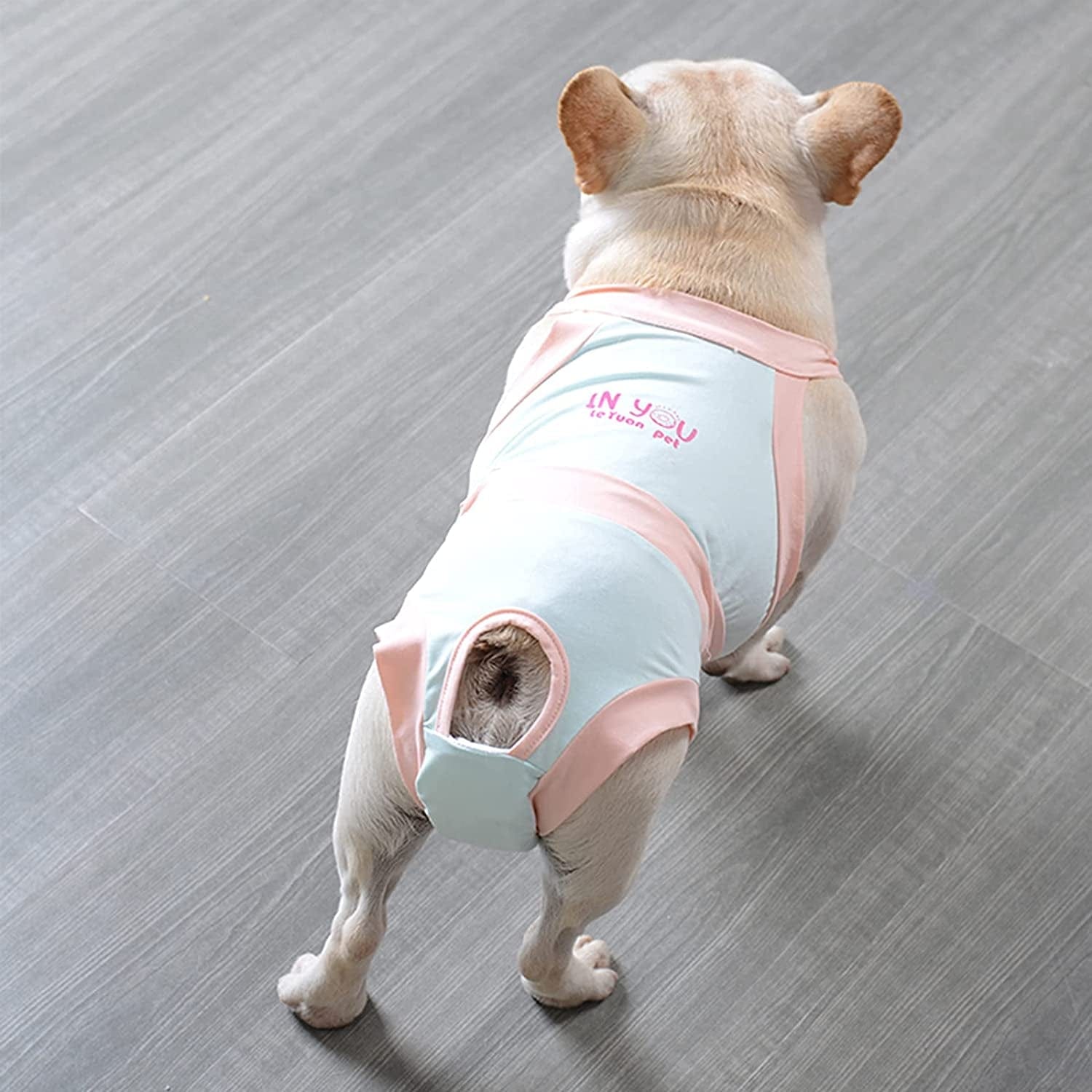 Washable Cotton Female Dog Diaper with Suspender, Reusable Elastic Sof – KOL  PET