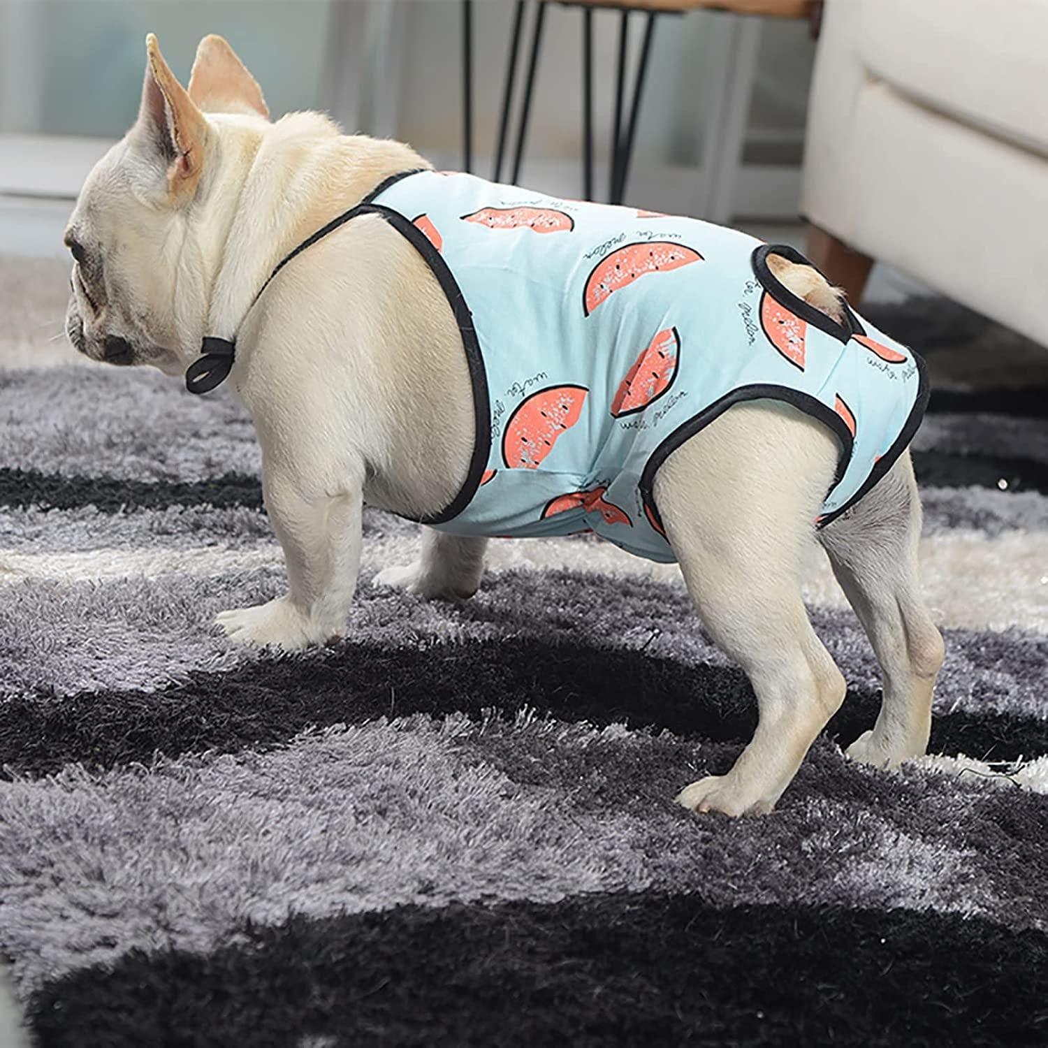 Washable Dog Diaper Jumpsuit Female Summer Spring, Soft Cotton Sanitary Pantie with Adjustable Suspender for Girl Dog Puppy, Reusable Doggies Period Pants Incontinence Small Medium Dogs Pet Underwear Animals & Pet Supplies > Pet Supplies > Dog Supplies > Dog Apparel PUMYPOREITY   