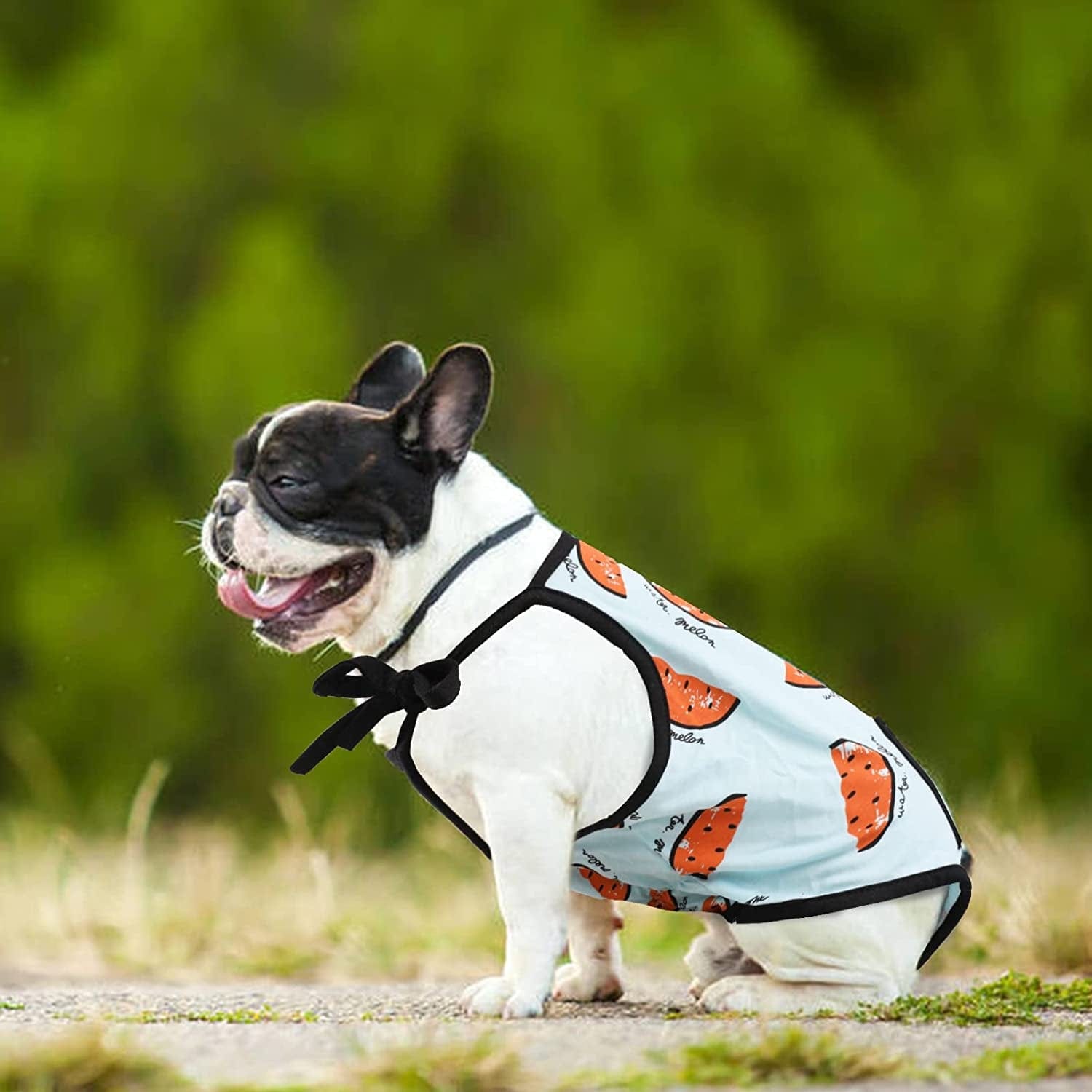 Washable Dog Diaper Jumpsuit Female Summer Spring, Soft Cotton Sanitary Pantie with Adjustable Suspender for Girl Dog Puppy, Reusable Doggies Period Pants Incontinence Small Medium Dogs Pet Underwear Animals & Pet Supplies > Pet Supplies > Dog Supplies > Dog Apparel PUMYPOREITY   