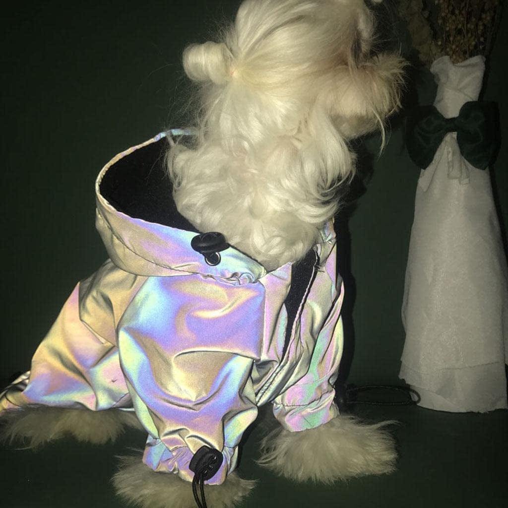 ＫＬＫＣＭＳ Waterproof Reflective Pet Dog Clothes Hoodie Coat Apparel Supplies - S Animals & Pet Supplies > Pet Supplies > Dog Supplies > Dog Apparel ＫＬＫＣＭＳ   