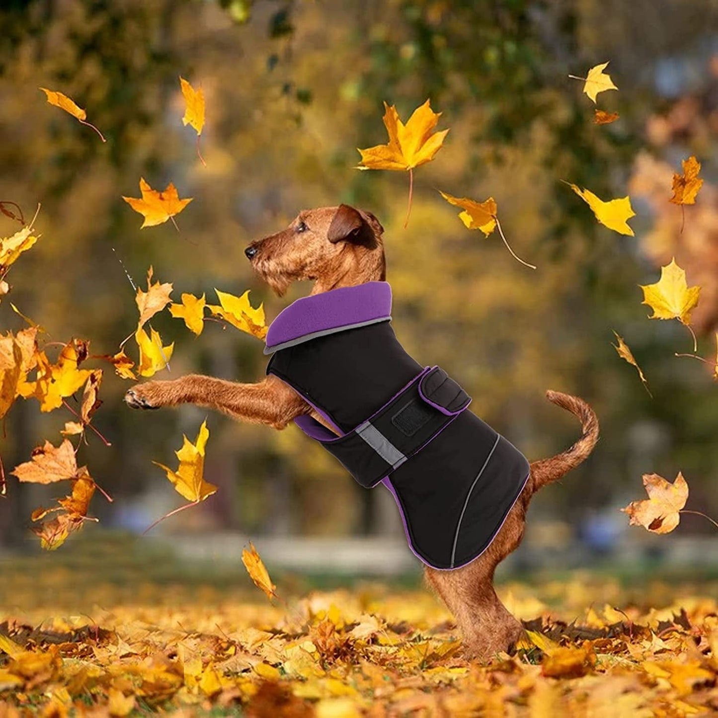 Waterproof Reversible Warm Fleece Lining Dog Winter Jacket Cold Weather Vest Clothes Coats for Small Medium Large Dogs, Adjustable Padded Thick Dog Apparel with Reflective Stripe for Outdoor Hiking Animals & Pet Supplies > Pet Supplies > Dog Supplies > Dog Apparel Yagamii   