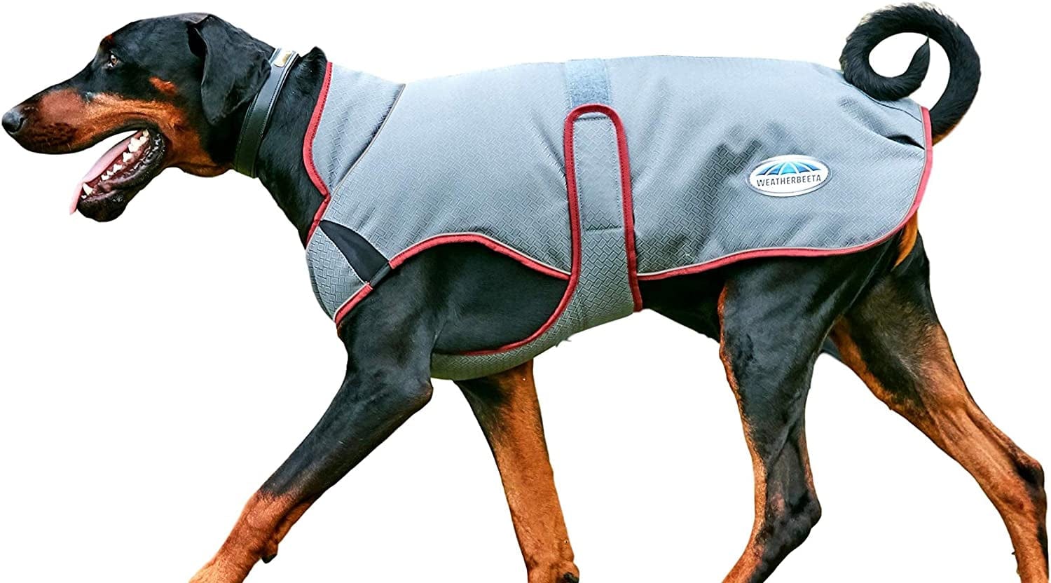 Weatherbeeta Comfitec Premier Free Parka Deluxe Dog Coat Medium - Maroon/Grey/White - 24" Animals & Pet Supplies > Pet Supplies > Dog Supplies > Dog Apparel Weatherbeeta Grey/Burgundy 10" 