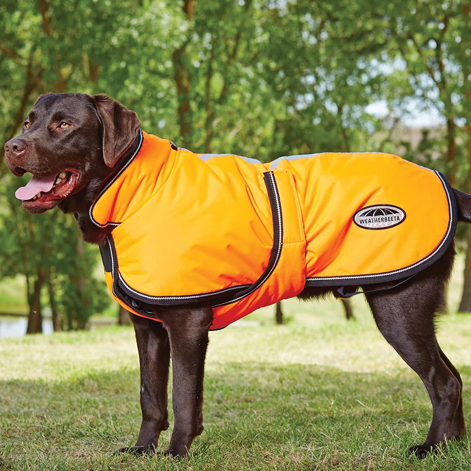 Weatherbeeta Comfitec Reflective Parka 300D Deluxe Dog Coat - Orange - 20" Animals & Pet Supplies > Pet Supplies > Dog Supplies > Dog Apparel Weatherbeeta USA Inc. Orange 30" 