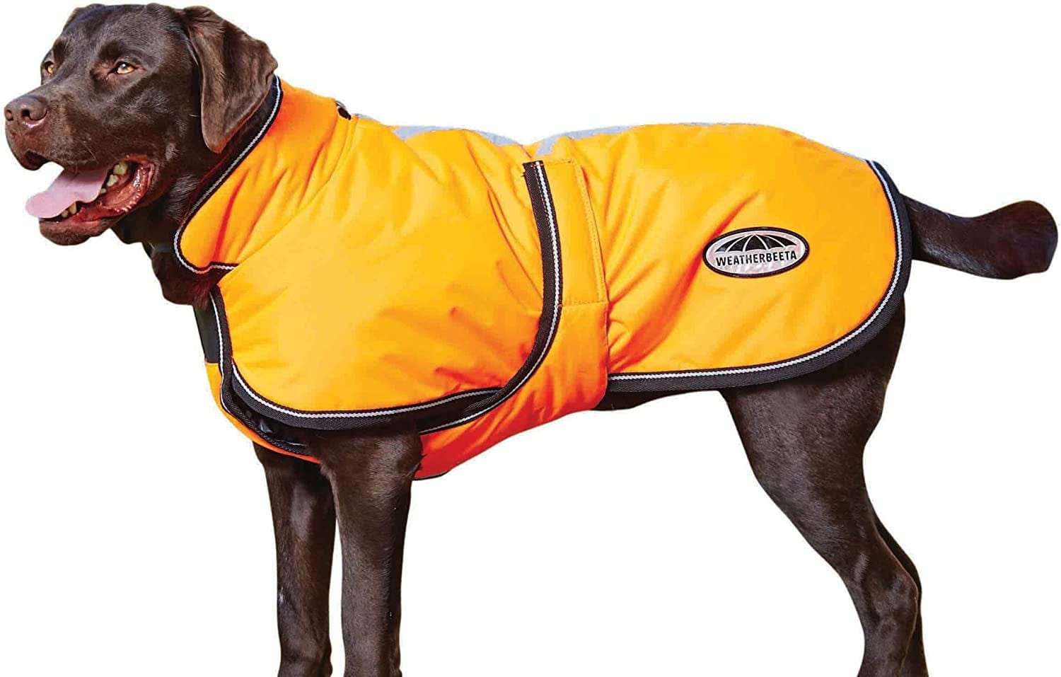 Weatherbeeta Comfitec Reflective Parka 300D Deluxe Dog Coat - Orange - 20" Animals & Pet Supplies > Pet Supplies > Dog Supplies > Dog Apparel Weatherbeeta USA Inc.   