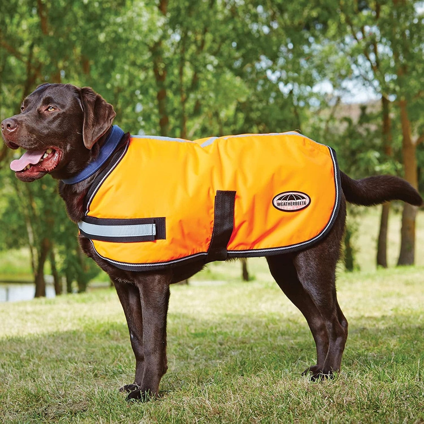 Weatherbeeta Comfitec Reflective Parka 300D Dog Coat - Orange - 24" Animals & Pet Supplies > Pet Supplies > Dog Supplies > Dog Apparel Weatherbeeta USA Inc. Orange 12" 