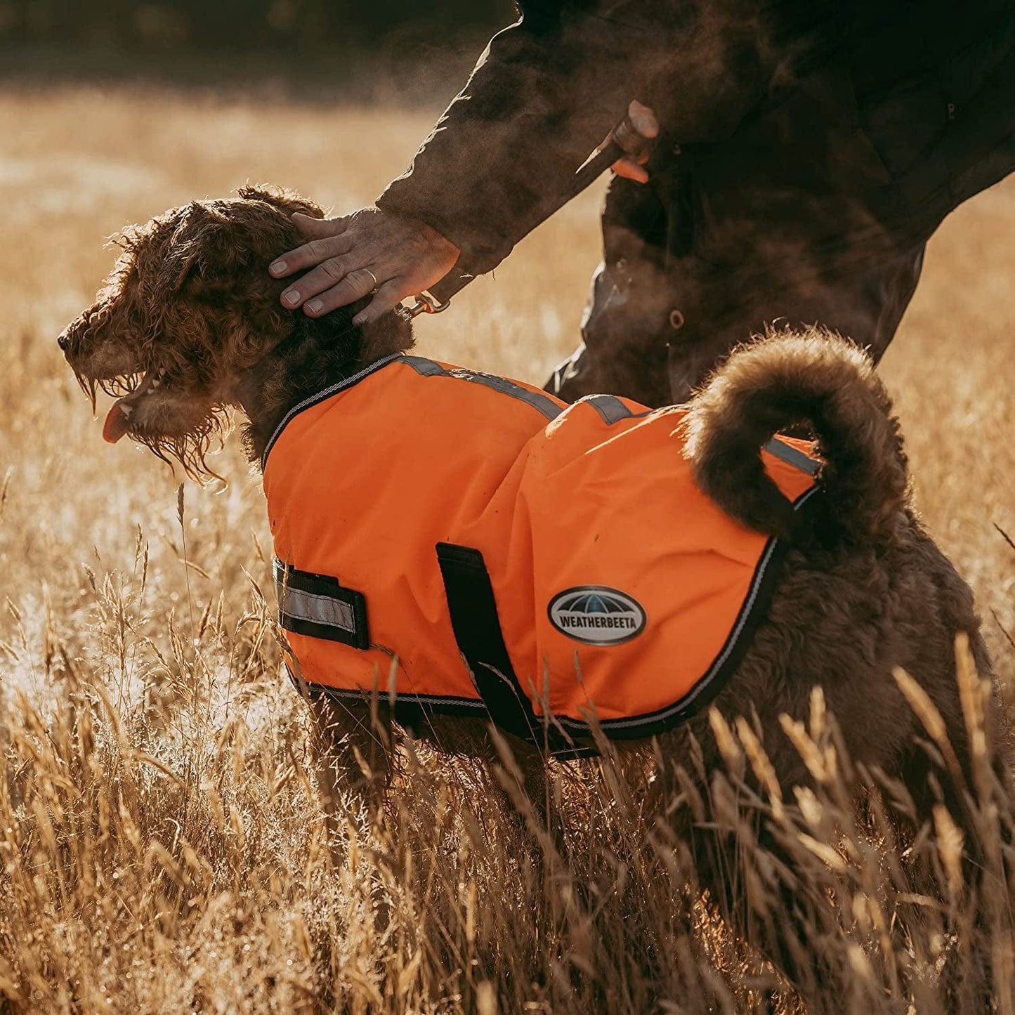 Weatherbeeta Comfitec Reflective Parka 300D Dog Coat - Orange - 24" Animals & Pet Supplies > Pet Supplies > Dog Supplies > Dog Apparel Weatherbeeta USA Inc.   