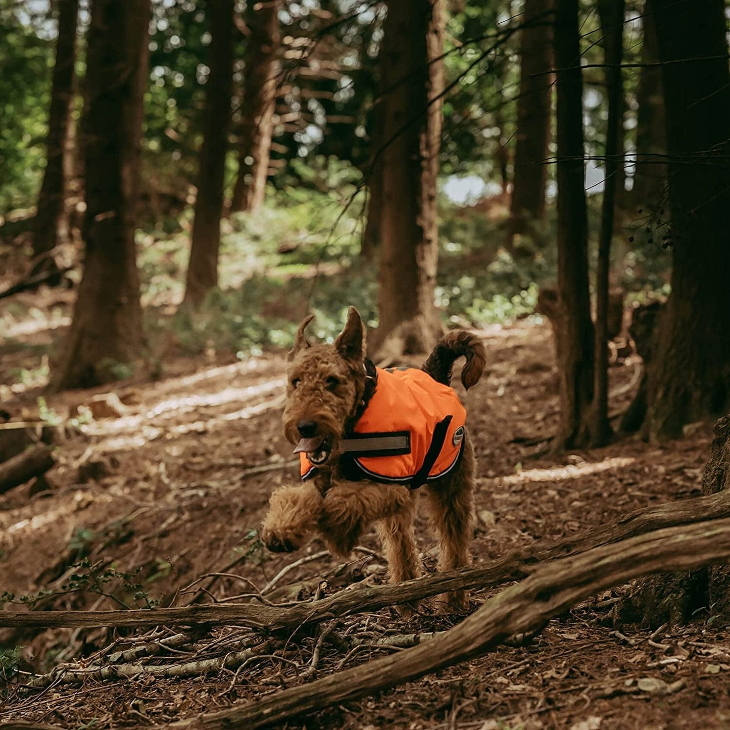 Weatherbeeta Comfitec Reflective Parka 300D Dog Coat - Orange - 24" Animals & Pet Supplies > Pet Supplies > Dog Supplies > Dog Apparel Weatherbeeta USA Inc.   