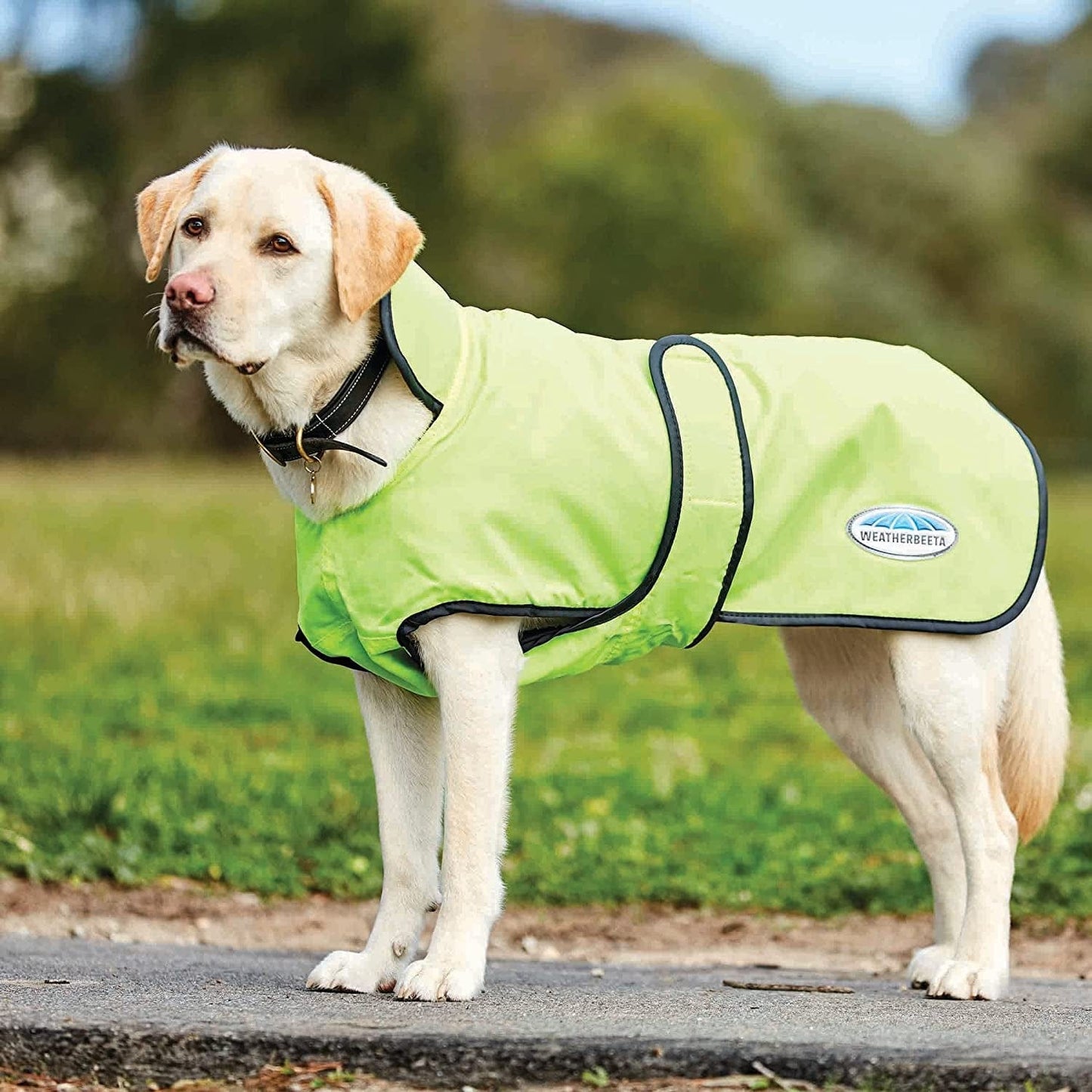 Weatherbeeta Comfitec Windbreaker 420D Deluxe Dog Coat - Yellow/Black - 22" Animals & Pet Supplies > Pet Supplies > Dog Supplies > Dog Apparel Weatherbeeta Iron/Flame 12" 