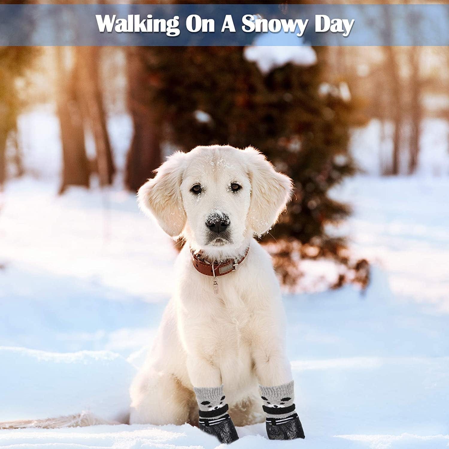 Weewooday 2 Sets Dog Cat Boots Shoes Socks Waterproof Dog Shoes Rain Snow Dog Booties Anti-Slip Dog Sock Shoes with Adjustable Drawstring for Small Puppy (S) Animals & Pet Supplies > Pet Supplies > Dog Supplies > Dog Apparel Weewooday   