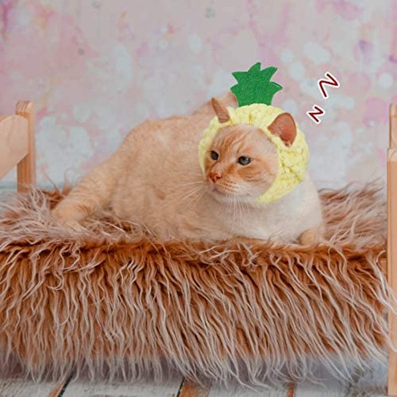 Weewooday 5 Pieces Cat Hat Cat Costume Bunny Hat with Ears Funny Banana Pineapple Cat Hat for Cats and Small Dogs Kitten Puppy Party Costume Accessory Headwear(Cute Style) Animals & Pet Supplies > Pet Supplies > Dog Supplies > Dog Apparel Weewooday   