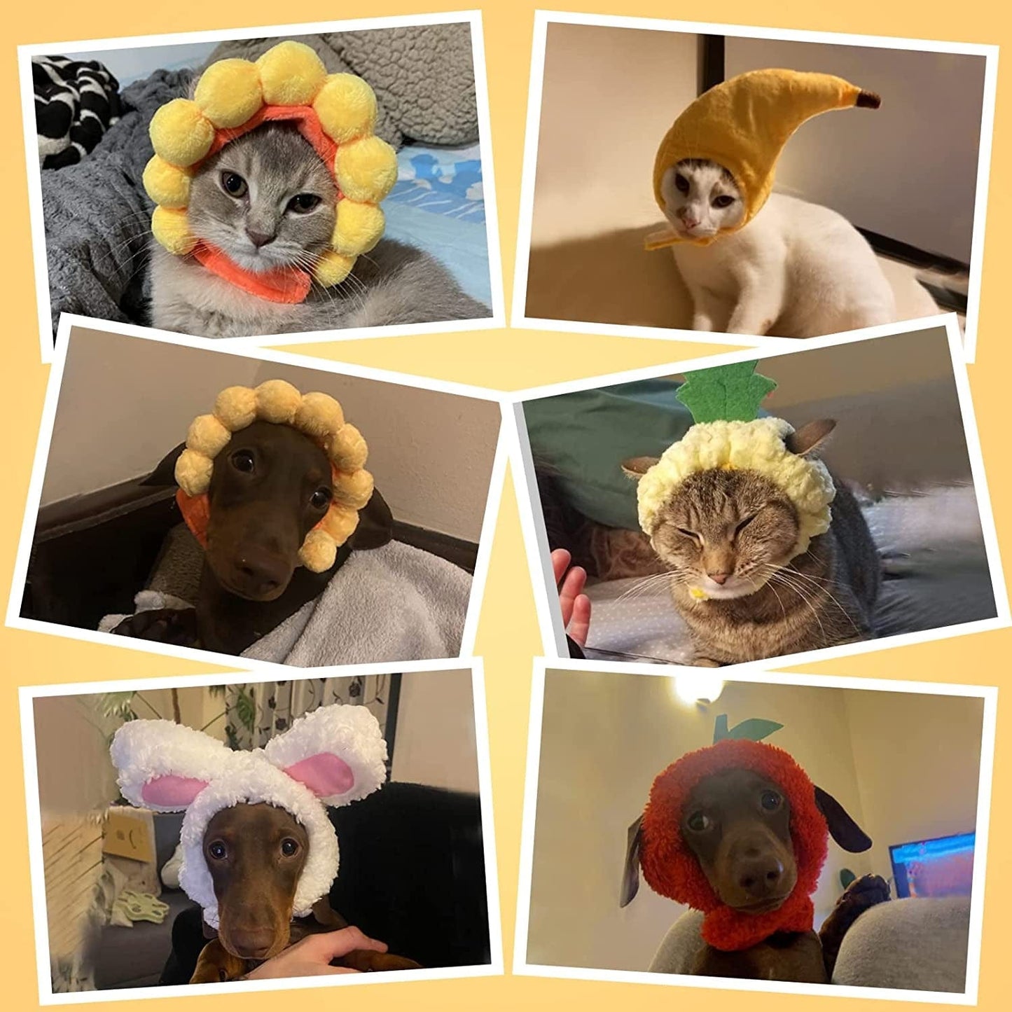 Weewooday 5 Pieces Cat Hat Cat Costume Bunny Hat with Ears Funny Banana Pineapple Cat Hat for Cats and Small Dogs Kitten Puppy Party Costume Accessory Headwear(Cute Style) Animals & Pet Supplies > Pet Supplies > Dog Supplies > Dog Apparel Weewooday   