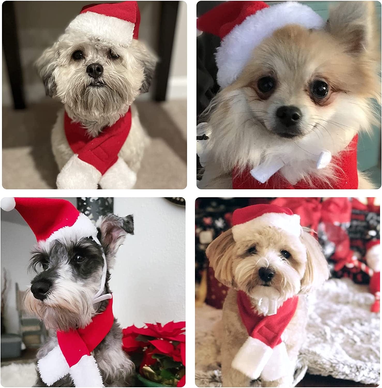 Wegoxiao Christmas Dog Santa Hat with Scarf Set, Adjustable Santa Hat for Dog and Pet Knit Red Scarf, Dog Winter Neck Warmer Scarf, Christmas Party Dressup Animals & Pet Supplies > Pet Supplies > Dog Supplies > Dog Apparel WeGoxiao   