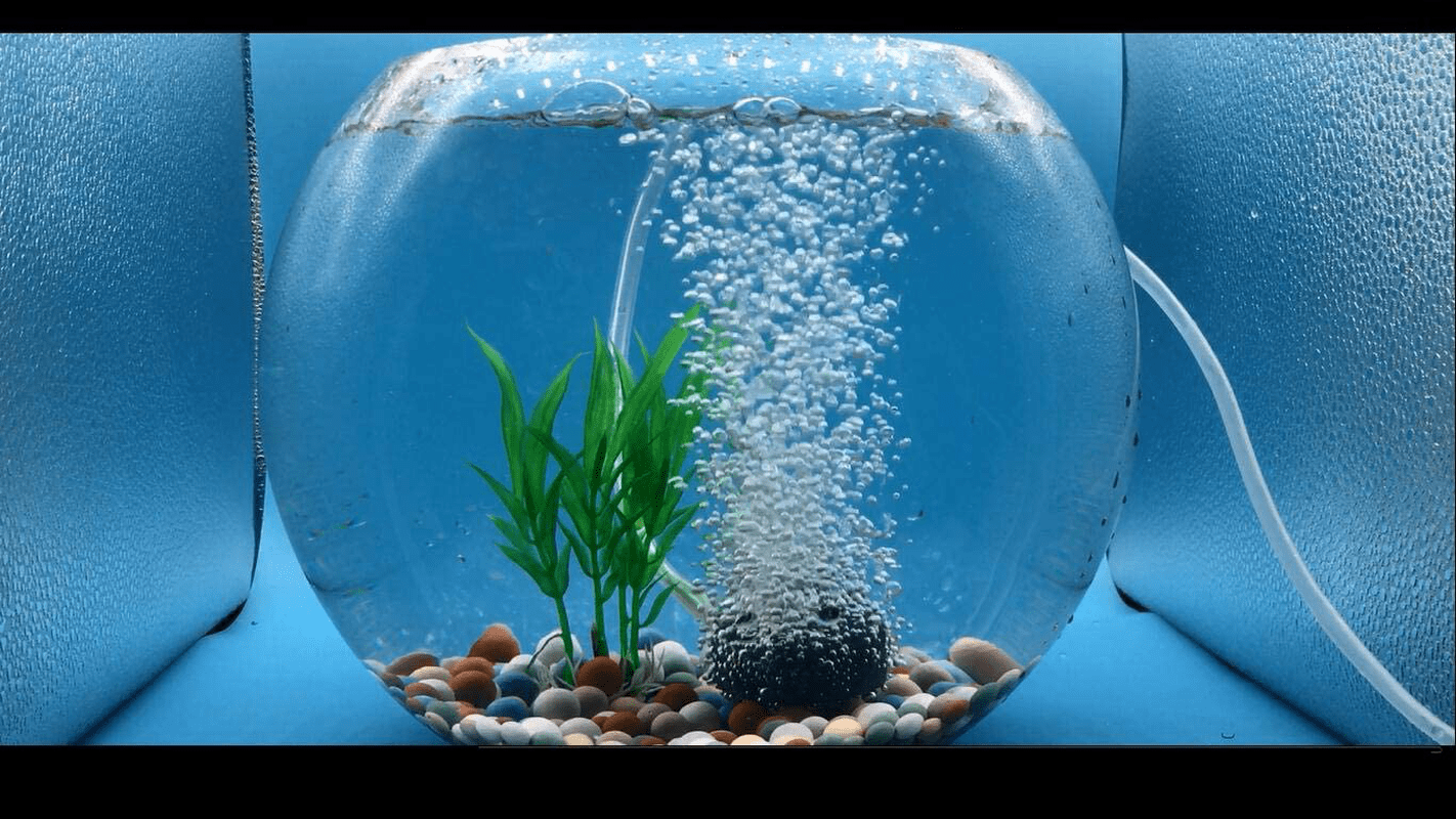 Membranpumpe fürs Aquarium - Luftsprudler kaufen