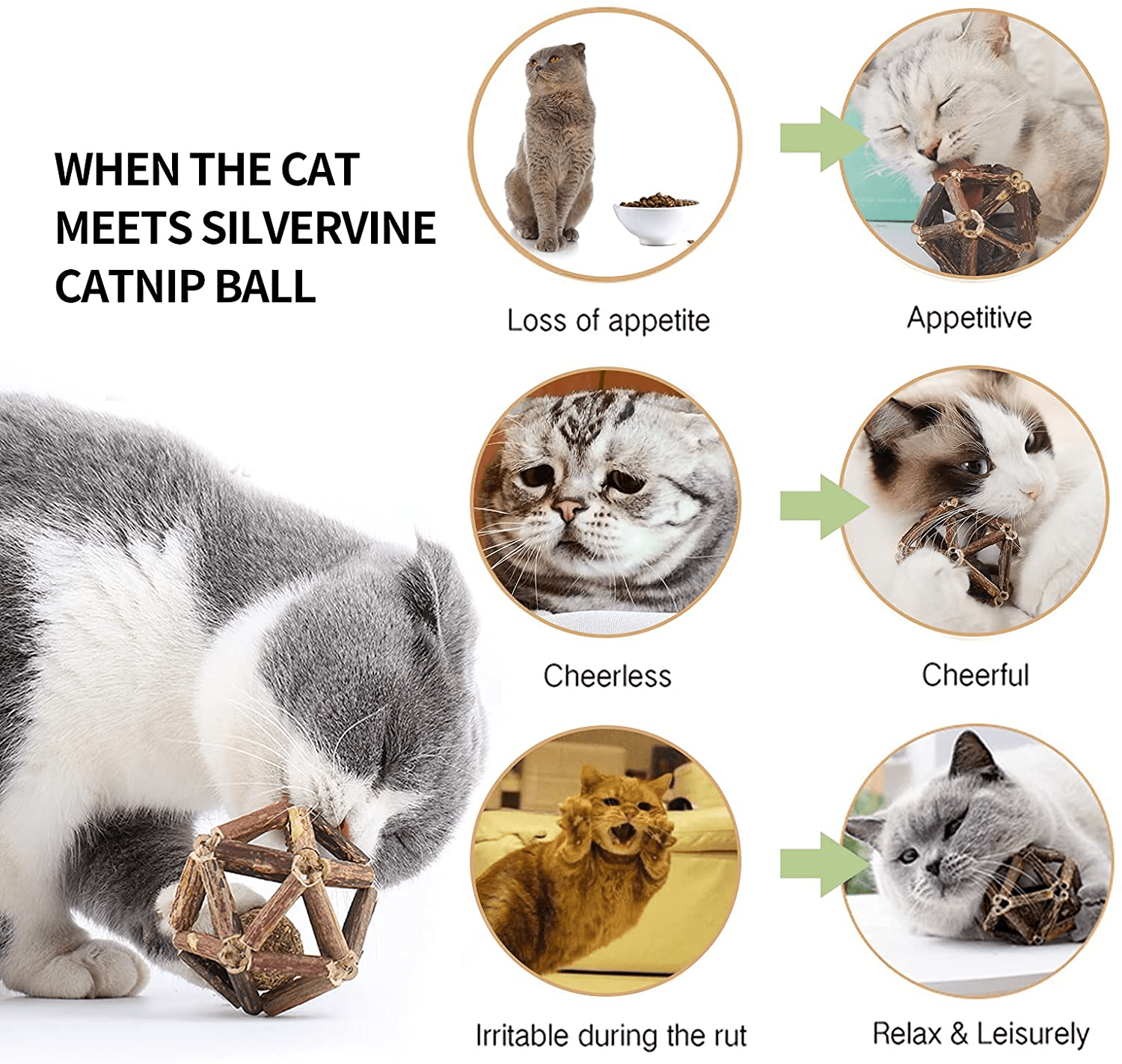 Wenstorm 2 Pcs Catnip Toys for Cats Cat Toys Cat Chew Toy Cleaning Teeth Molar Tools Natural Silvervine Sticks Catnip Ball & Bell Ball Matatabi Catnip Cat Toy Relieving Stress Kitty Toys Animals & Pet Supplies > Pet Supplies > Cat Supplies > Cat Toys WenStorm   