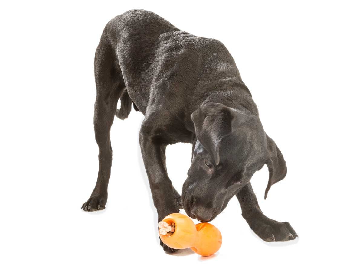 West Paw Zogoflex Qwizl Large 6.5" Dog Toy Tangerine