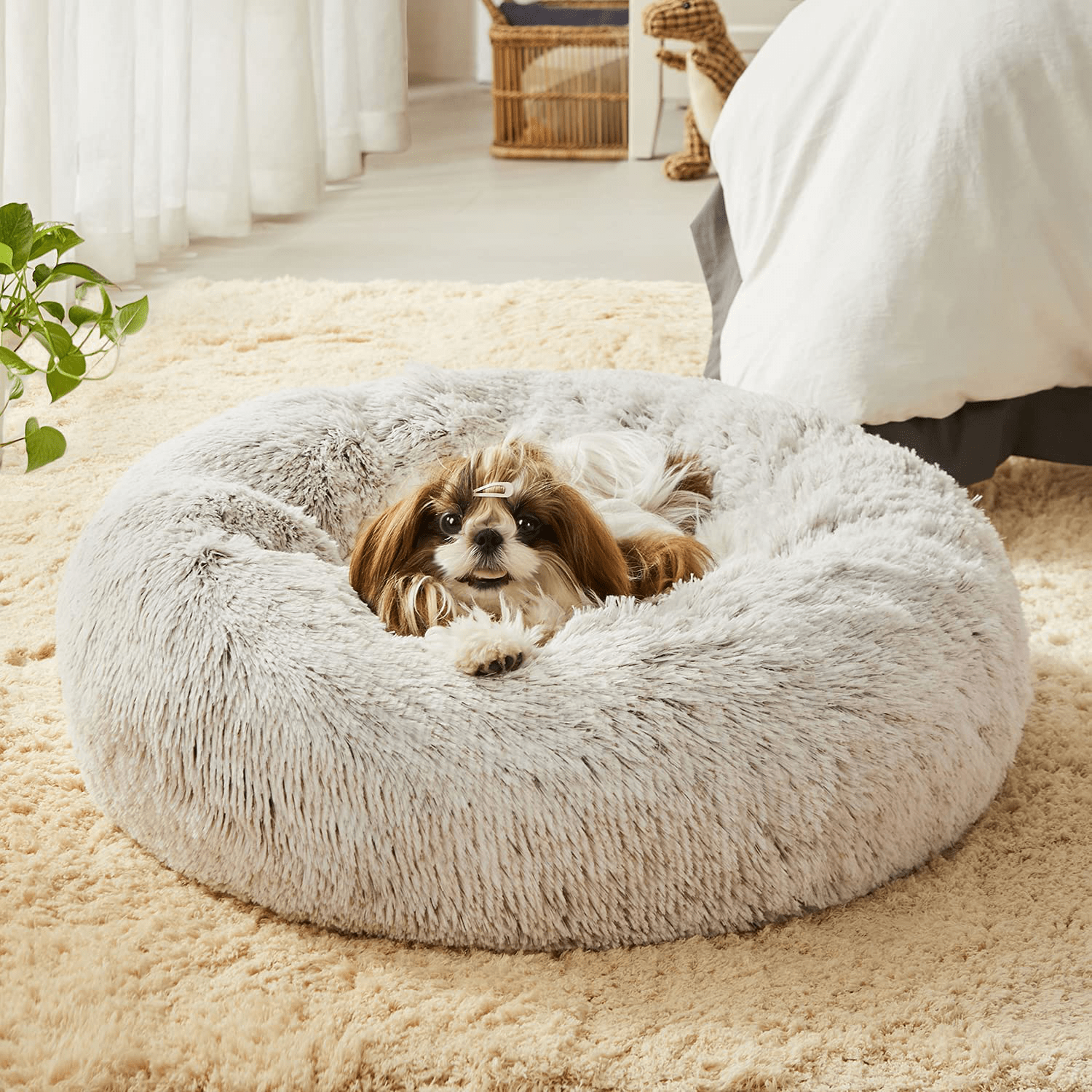 Dog calming bed store canada