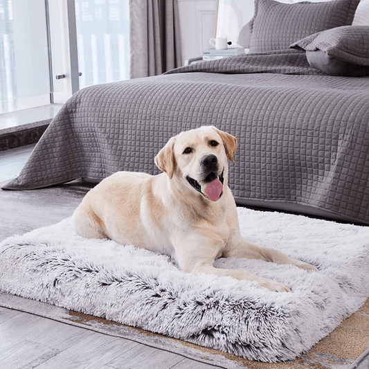 Western Home Large Dog Bed for Large Dogs, Medium Dogs, Small Dogs , Crate Bed Waterproof Mattress with Removable Washable Cover, Egg Crate Foam Dog Crate Mat with Non-Slip Bottom Animals & Pet Supplies > Pet Supplies > Dog Supplies > Dog Beds WESTERN HOME WH Grey XL(41"x29"x4") 