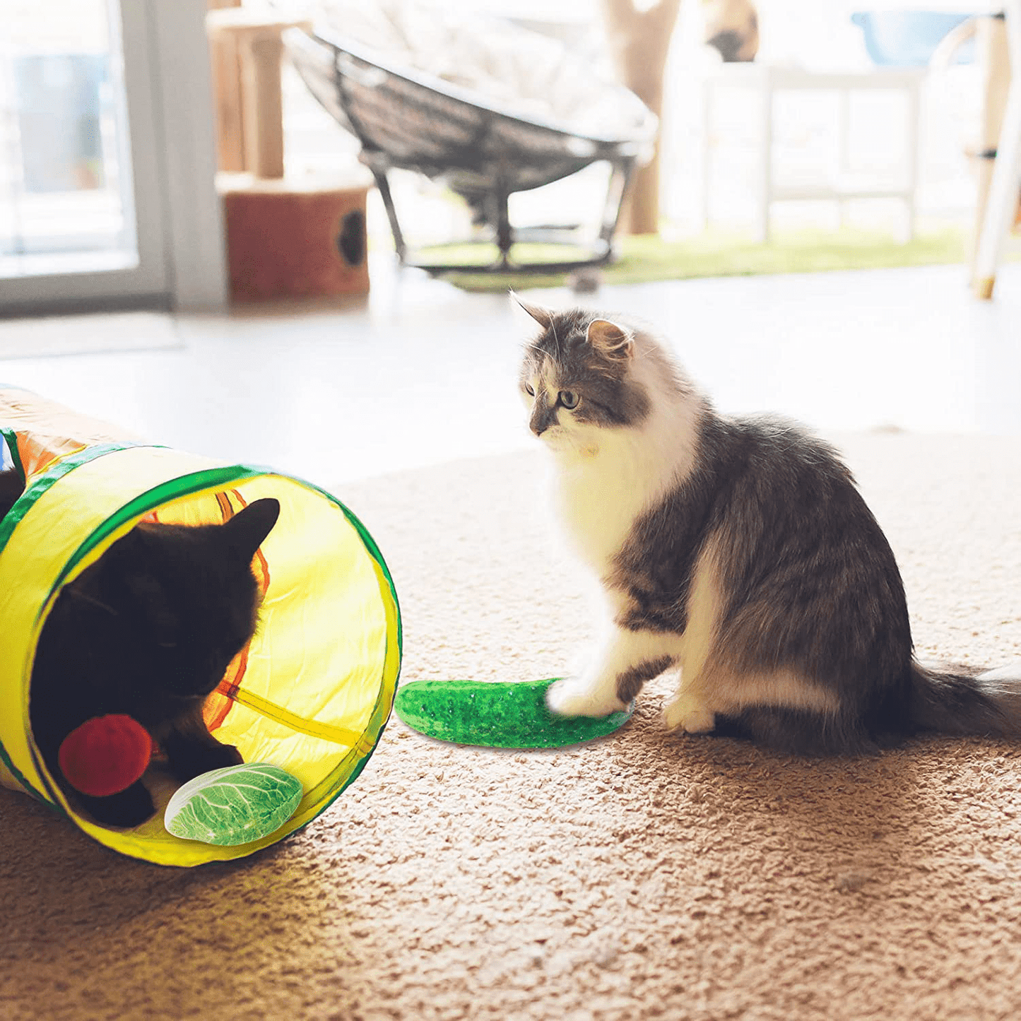 Whaline 6Pcs Catnip Cat Toys Catmint Plush Interactive Pillows Cat Chew Bite Kick Toy Vegetables Theme Teeth Cleaning Teeth Grinding Toy for Cats Kitten Gift Boredom Relief Supplies Animals & Pet Supplies > Pet Supplies > Cat Supplies > Cat Toys Whaline   