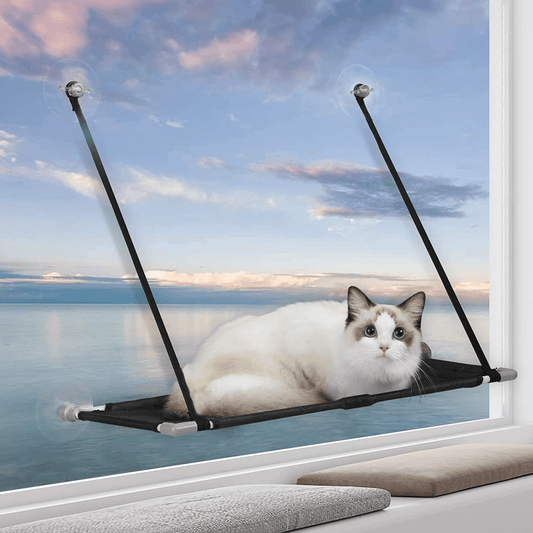 WHICH DOG Cat Window Perch,Cat Window Hammock Seat Extra Large Screw Suction Cups Cat Beds for Indoor Cats,High Weight Capacity 360° Sunny Seat Animals & Pet Supplies > Pet Supplies > Cat Supplies > Cat Furniture WHICH DOG Black  