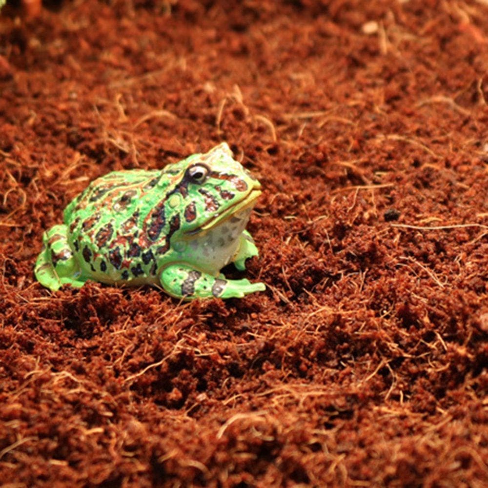 Whigetiy Snake Bedding Substrate Coconut Fiber High Breathable Turtle Hibernating Soil