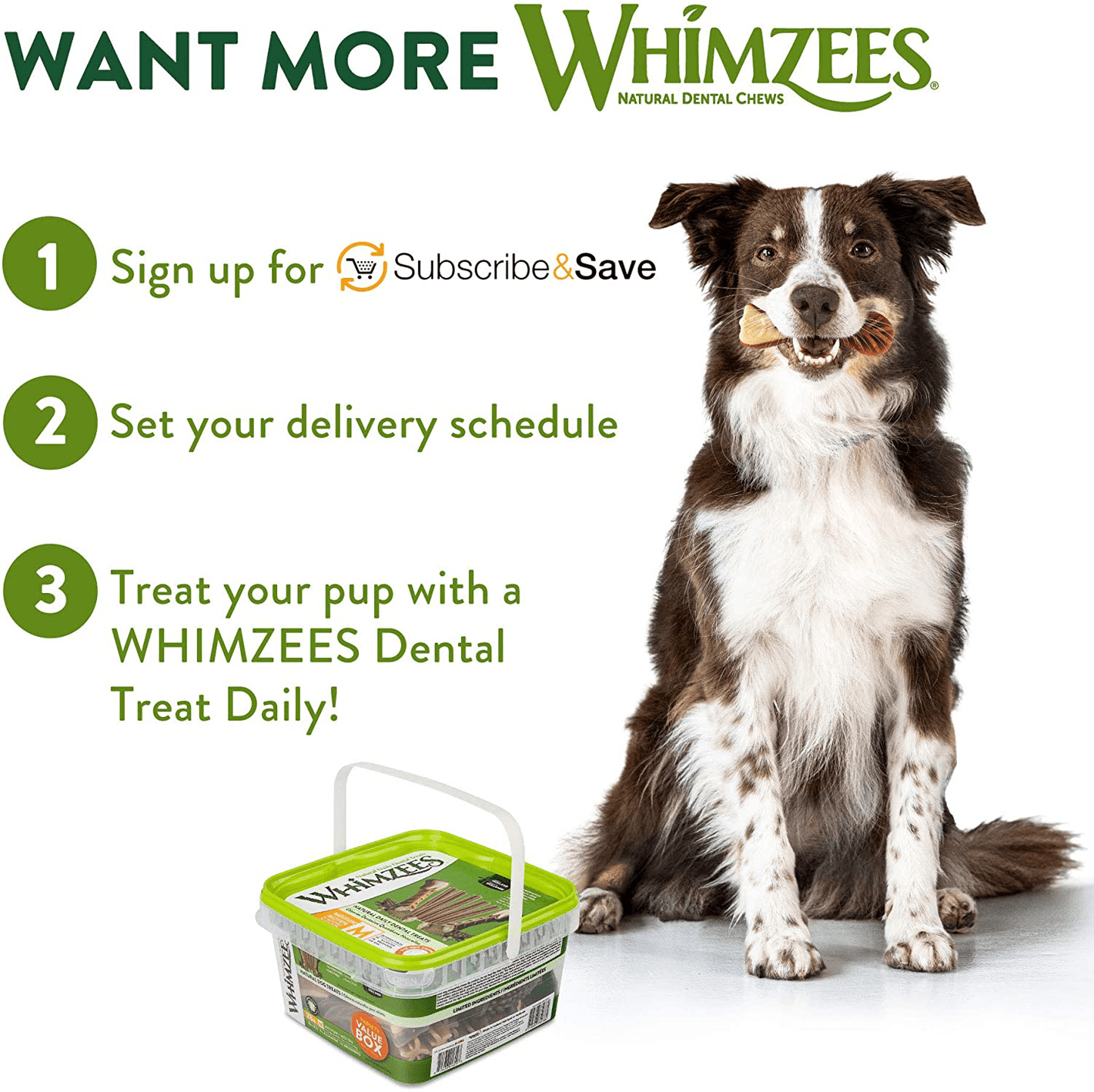 WHIMZEES Natural Grain Free Daily Long Lasting Dog Dental Treats, Variety Box, Medium, Dental Chews (Pack of 28) Animals & Pet Supplies > Pet Supplies > Dog Supplies > Dog Treats Whimzees   