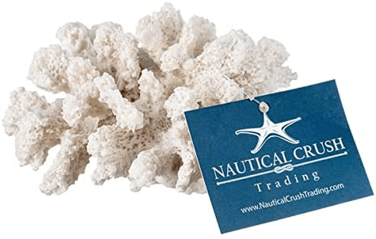 White Coral Decor - Coral Sculpture - Faux Coral Decor Measures 4In X 3.5In X 2.5In - Coral Decorations for Home - Faux Coral Reef Decor - White Coral Decoration - Sea Coral Sculpture - Beach Coral Animals & Pet Supplies > Pet Supplies > Fish Supplies > Aquarium Decor Nautical Crush Trading   
