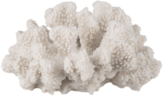 White Coral Decor - Coral Sculpture - Faux Coral Decor Measures 4In X 3.5In X 2.5In - Coral Decorations for Home - Faux Coral Reef Decor - White Coral Decoration - Sea Coral Sculpture - Beach Coral Animals & Pet Supplies > Pet Supplies > Fish Supplies > Aquarium Decor Nautical Crush Trading   