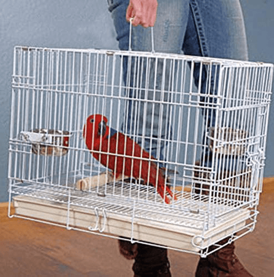 White Durable Metal Foldable Travel Vet Carrier Perch Stand Cage for Bird Parrot