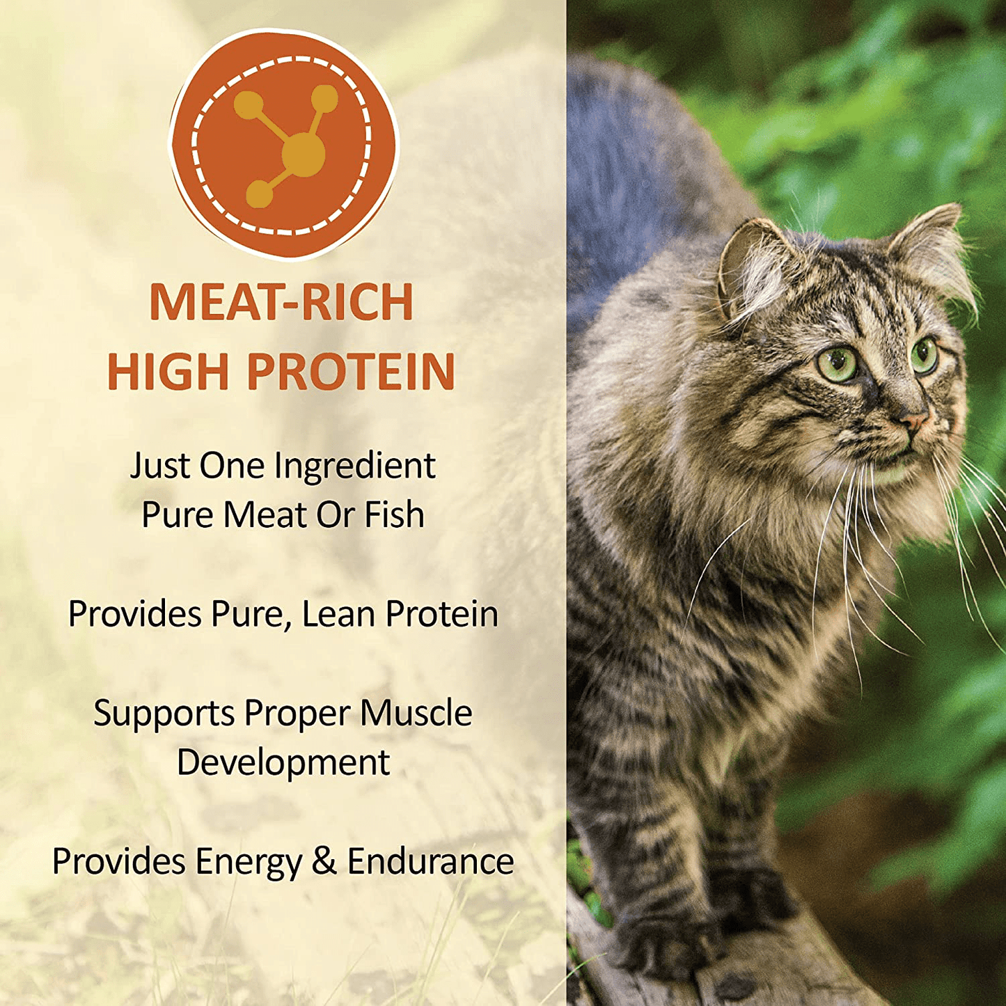 Whole Life Pet USA Sourced and Produced Human Grade Freeze Dried Boneless, Skinless Wild Cod Filet Cat Treat, Protein Rich for Training, Picky Eaters, Digestion, Weight Control Animals & Pet Supplies > Pet Supplies > Cat Supplies > Cat Treats Whole Life Pet Products   