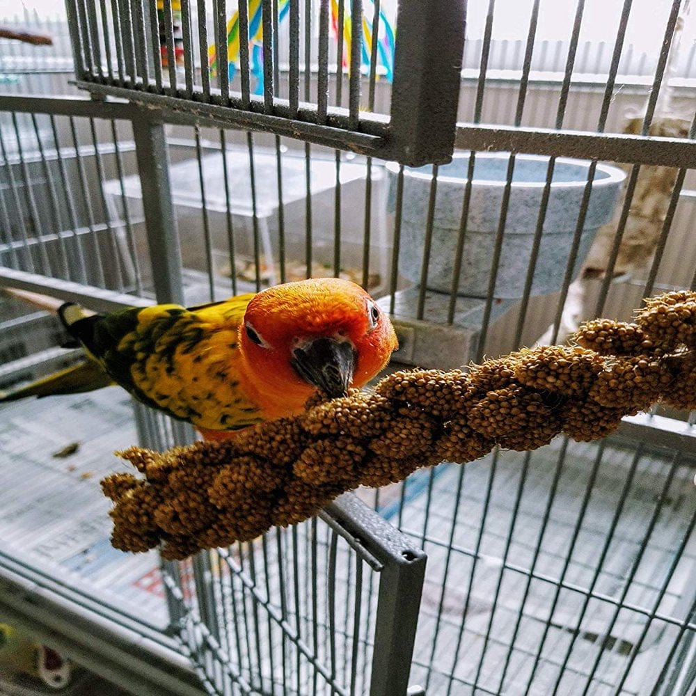 Wholesome and Lovely Birds LOVE Spray Millet for Birds Animals & Pet Supplies > Pet Supplies > Bird Supplies > Bird Treats Birds Love   