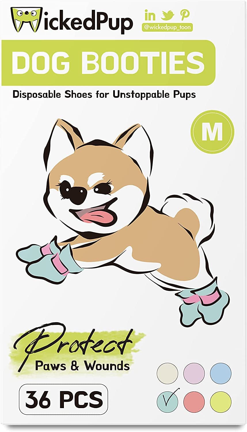 WICKEDPUP Dog Boots Paw Protection for Small Dogs, 36Ct | Disposable Pet Booties for Wound Recovery | Puppy Shoes with Adjustable Straps for Hardwood Floors, Hot Pavement (Blue, S: W 0.75 - 1.25") Animals & Pet Supplies > Pet Supplies > Dog Supplies > Dog Apparel BUTTERFLIES ECOMMERCE US LTD Pale Turquoise M: Width 1 - 1.5" 