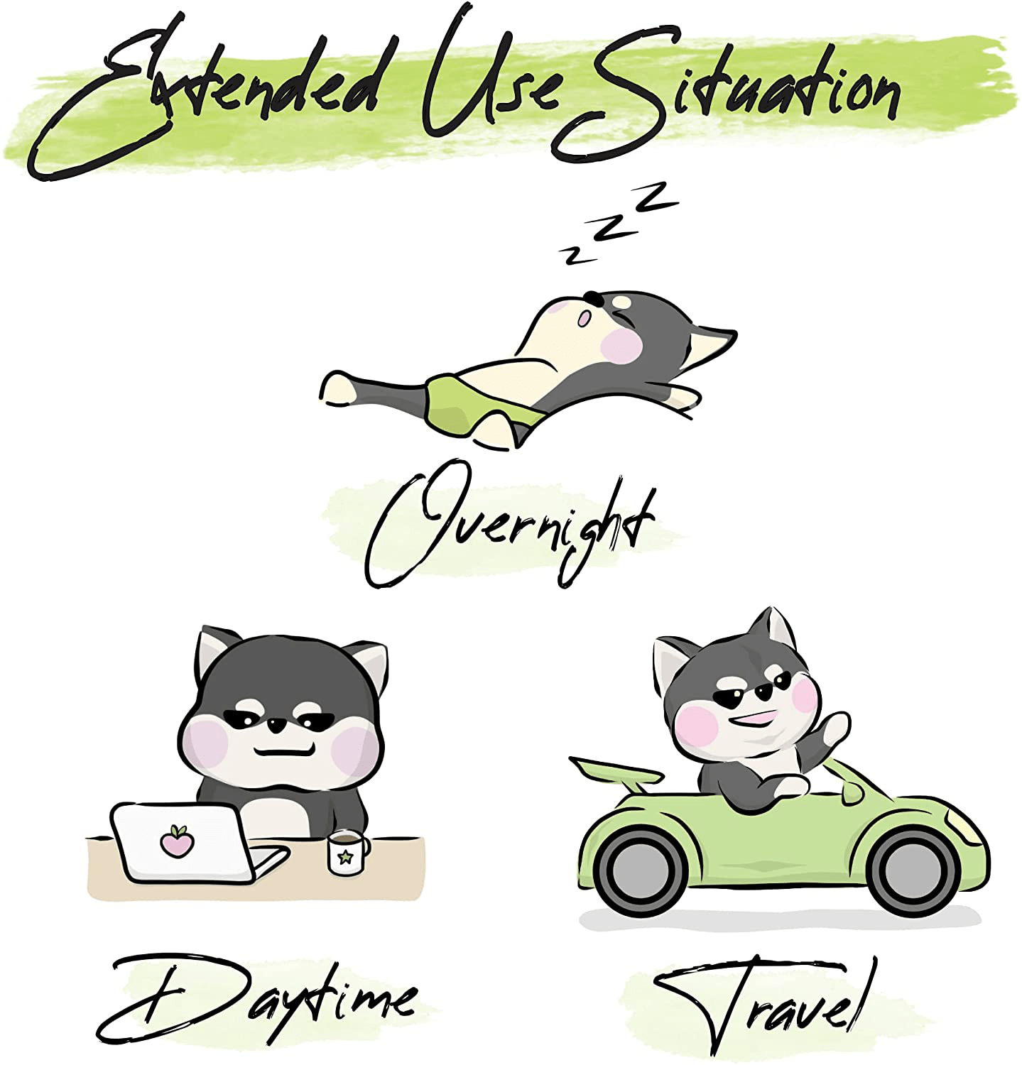 Washable dog diaper sales liners