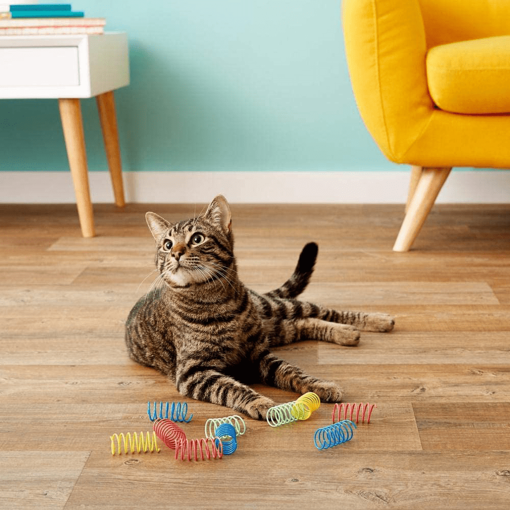 Wide Colorful Springs Cat Toy Animals & Pet Supplies > Pet Supplies > Cat Supplies > Cat Toys SPOT Ethical Products   