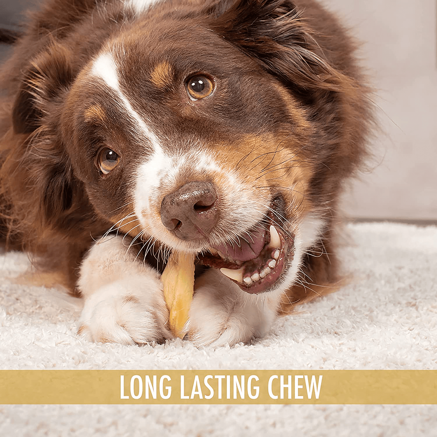 Wild Eats Natural Ear Dog Chews, Dog Treats & Dog Snacks (Great Alternative to Pig Ears for Dogs, Cow Ears for Dogs, Dog Bones & Rawhides for Dogs) Lamb or Water Buffalo in Multiple Styles & Sizes Animals & Pet Supplies > Pet Supplies > Small Animal Supplies > Small Animal Treats Wild Eats   