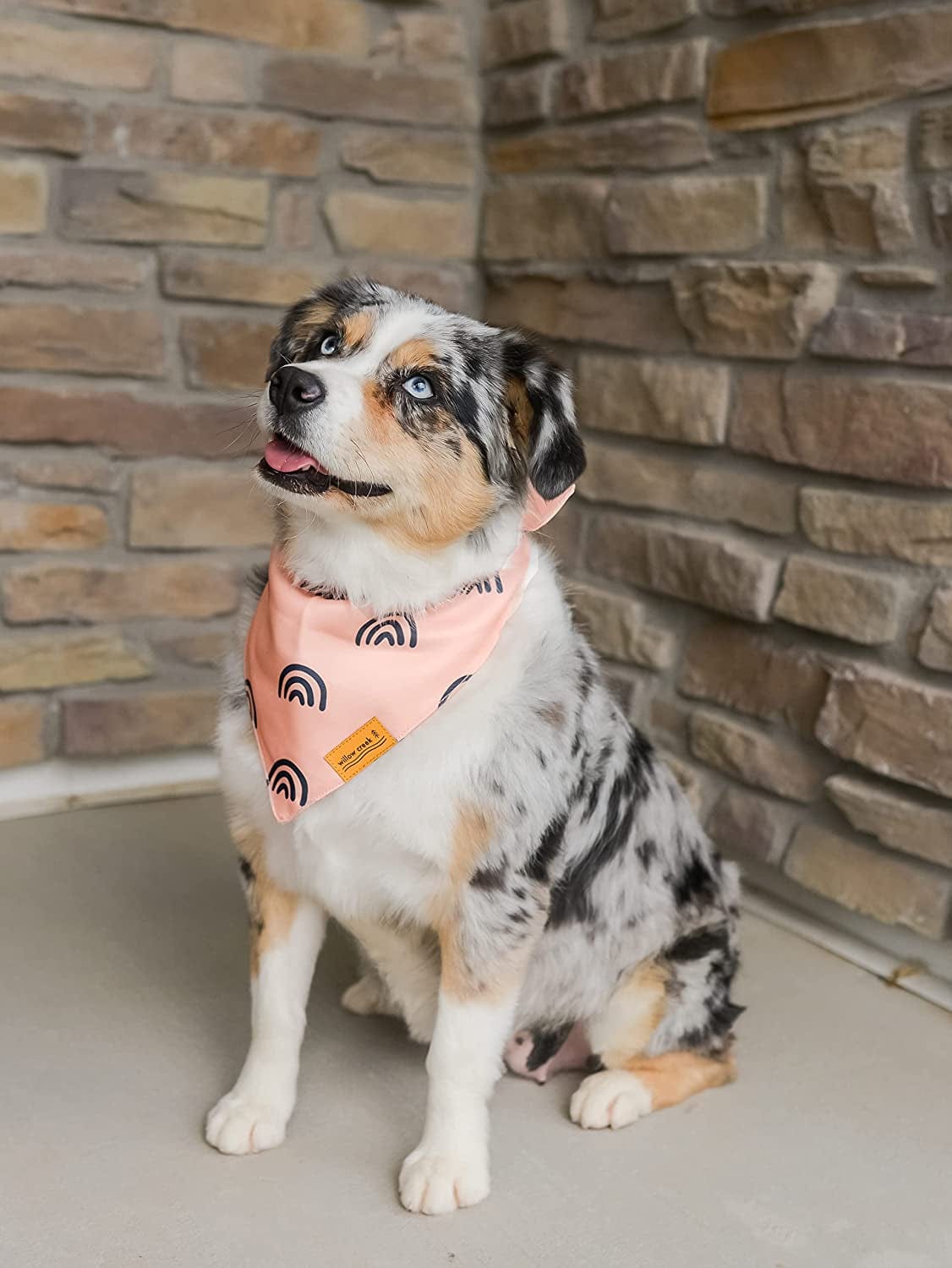 Willow Creek Pet Apparel Bandana Scarf for Dogs & Puppies | Boho 4 Pack | Dual Layered Durable Fabric | Cute & Modern | All Breeds | Boy & Girl | Adjustable Small, Large, & X-Large (Large) Animals & Pet Supplies > Pet Supplies > Dog Supplies > Dog Apparel Willow Creek Pet Apparel   