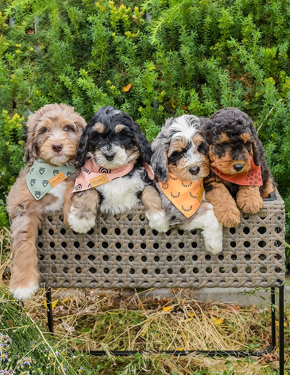 Willow Creek Pet Apparel Bandana Scarf for Dogs & Puppies | Boho 4 Pack | Dual Layered Durable Fabric | Cute & Modern | All Breeds | Boy & Girl | Adjustable Small, Large, & X-Large (Large) Animals & Pet Supplies > Pet Supplies > Dog Supplies > Dog Apparel Willow Creek Pet Apparel   