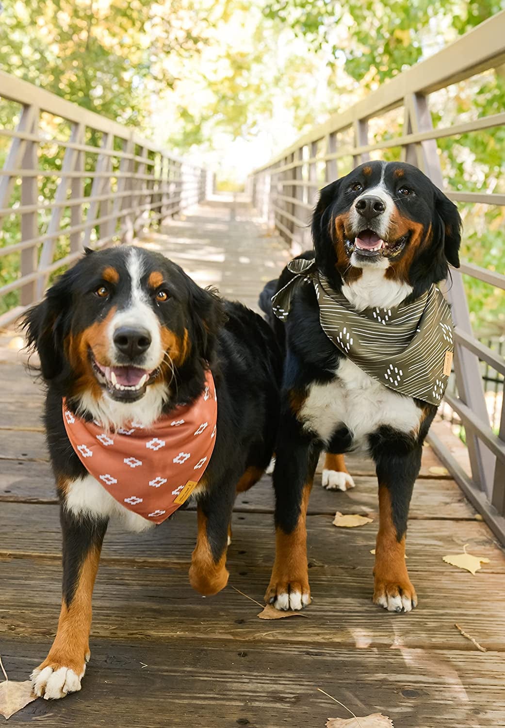 Willow Creek Pet Apparel Bandana Scarf for Dogs & Puppies | Western 4 Pack | Dual Layered Durable Fabric |Cute & Modern| All Breeds | Boy & Girl | Adjustable Small, Large, & X-Large (Large) Animals & Pet Supplies > Pet Supplies > Dog Supplies > Dog Apparel Willow Creek Pet Apparel   