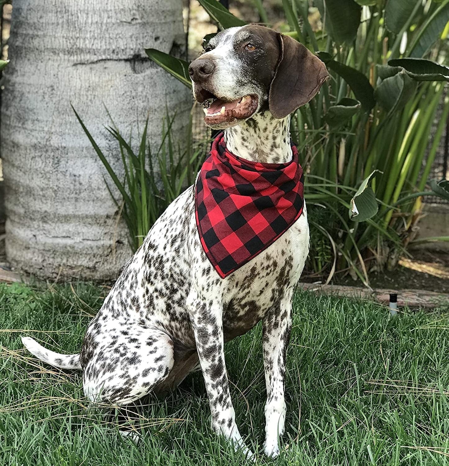 Willowear Dog Bandanas Red Buffalo Plaid Large Animals & Pet Supplies > Pet Supplies > Dog Supplies > Dog Apparel Willowear   