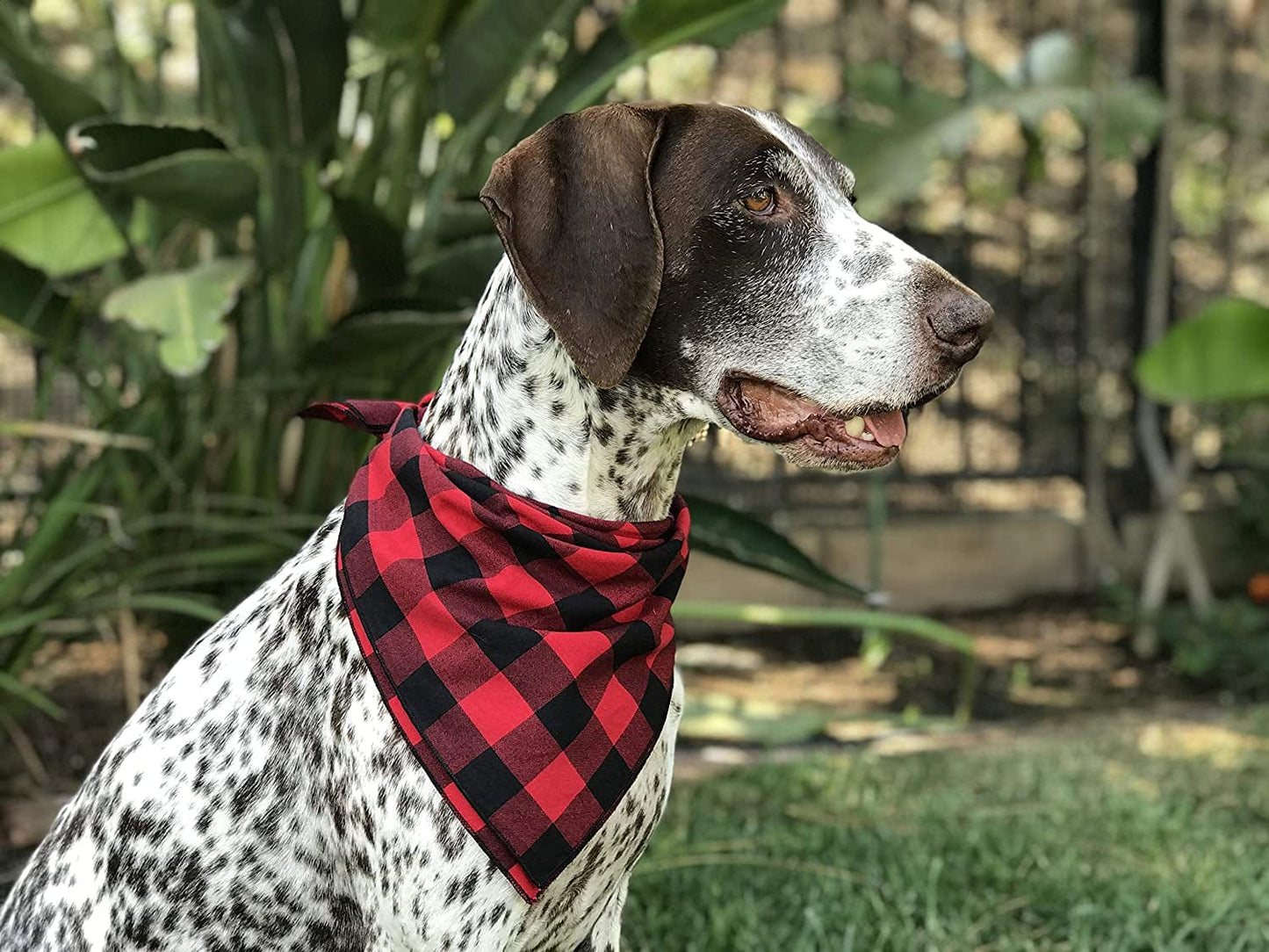 Willowear Dog Bandanas Red Buffalo Plaid Large Animals & Pet Supplies > Pet Supplies > Dog Supplies > Dog Apparel Willowear   