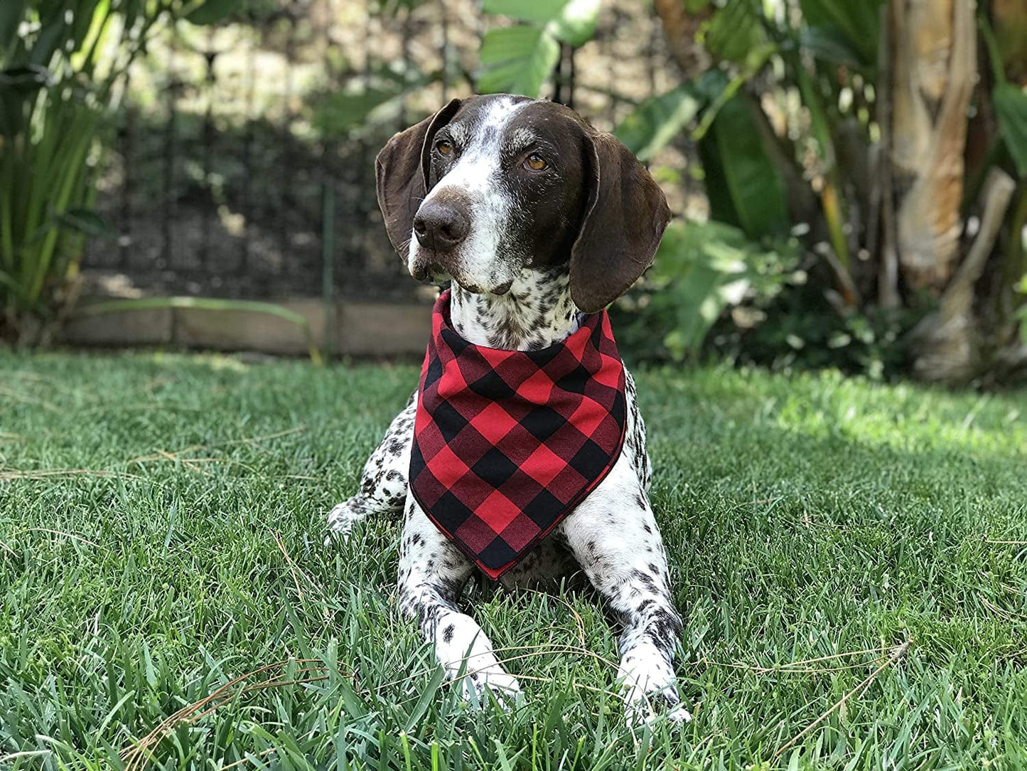 Willowear Dog Bandanas Red Buffalo Plaid Large Animals & Pet Supplies > Pet Supplies > Dog Supplies > Dog Apparel Willowear   