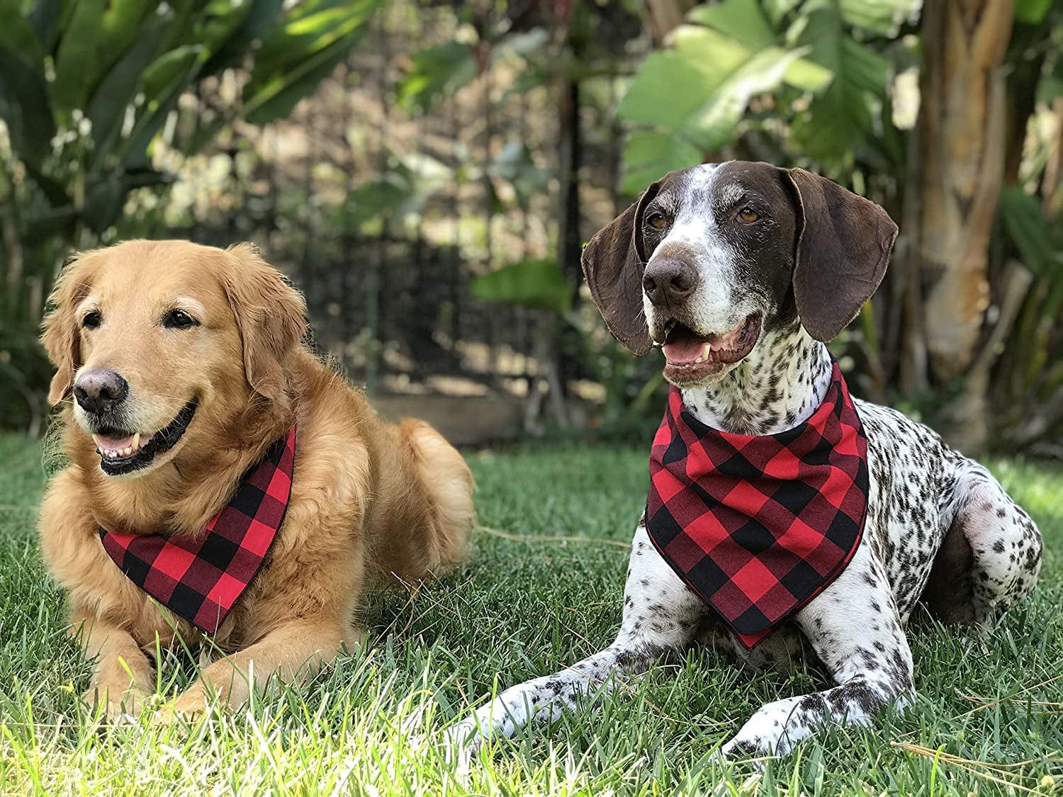 Willowear Dog Bandanas Red Buffalo Plaid Large Animals & Pet Supplies > Pet Supplies > Dog Supplies > Dog Apparel Willowear   