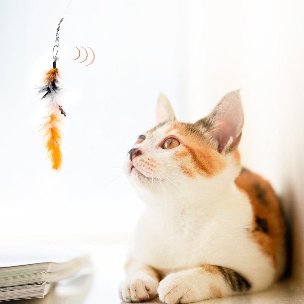 Willstar Cat Toys Interactive Cat Feather Wand,Cat Fishing Pole Toy 12 Funny Pet Tunnel Cat Play Kitten Stick Mouse Cats Stick Ball Toys Bulk Toy Animals & Pet Supplies > Pet Supplies > Cat Supplies > Cat Toys Willstar   