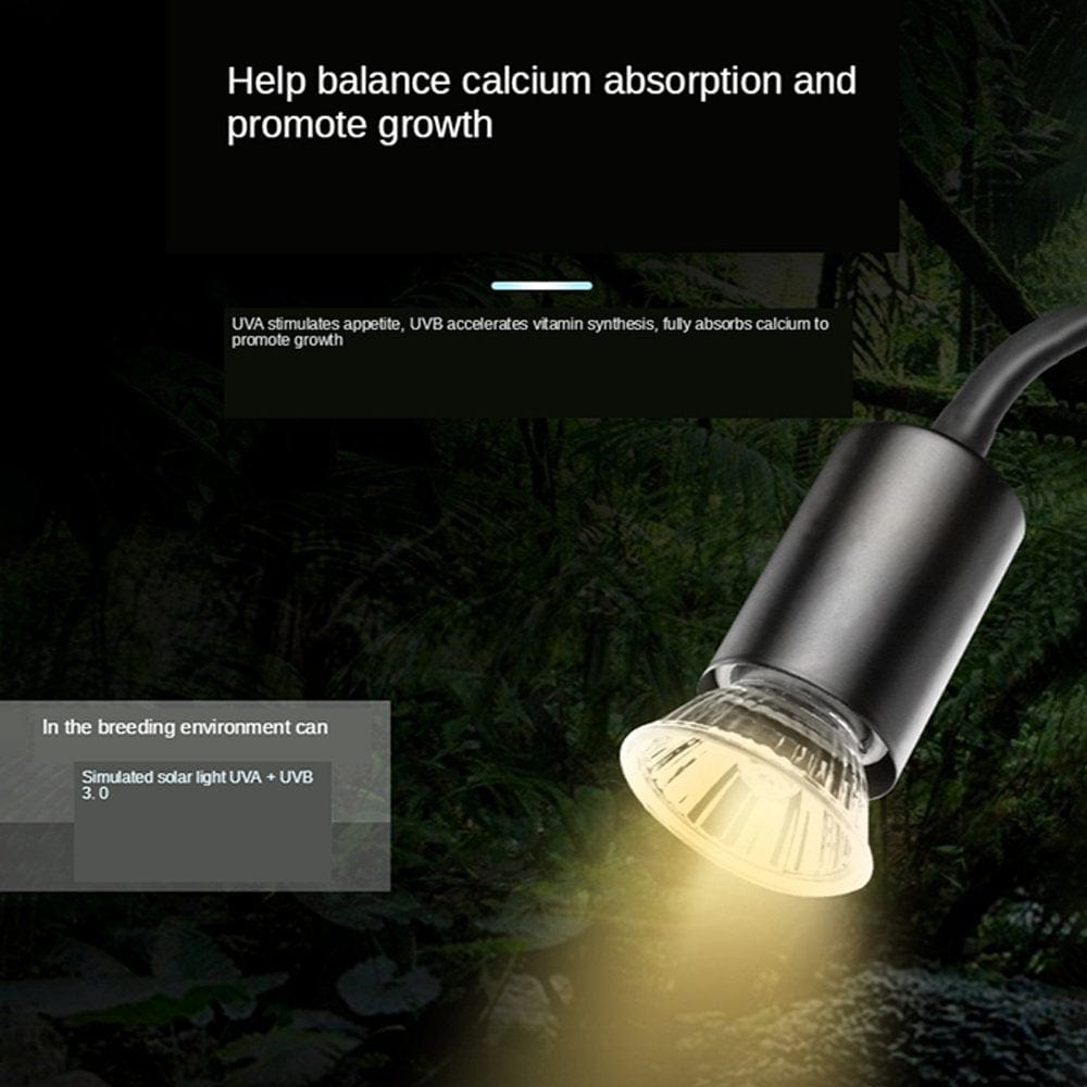 Willstar Reptile Heat Lamp with Dimmable Switch,Adjustable Basking Spot Heat Lamp for Animal Enclosures Aquariums 360°Rotatable Arm Heavy-Duty Clamp Suitable for Reptiles, Fish, Insects and Amphibians Animals & Pet Supplies > Pet Supplies > Reptile & Amphibian Supplies > Reptile & Amphibian Food 770726202   