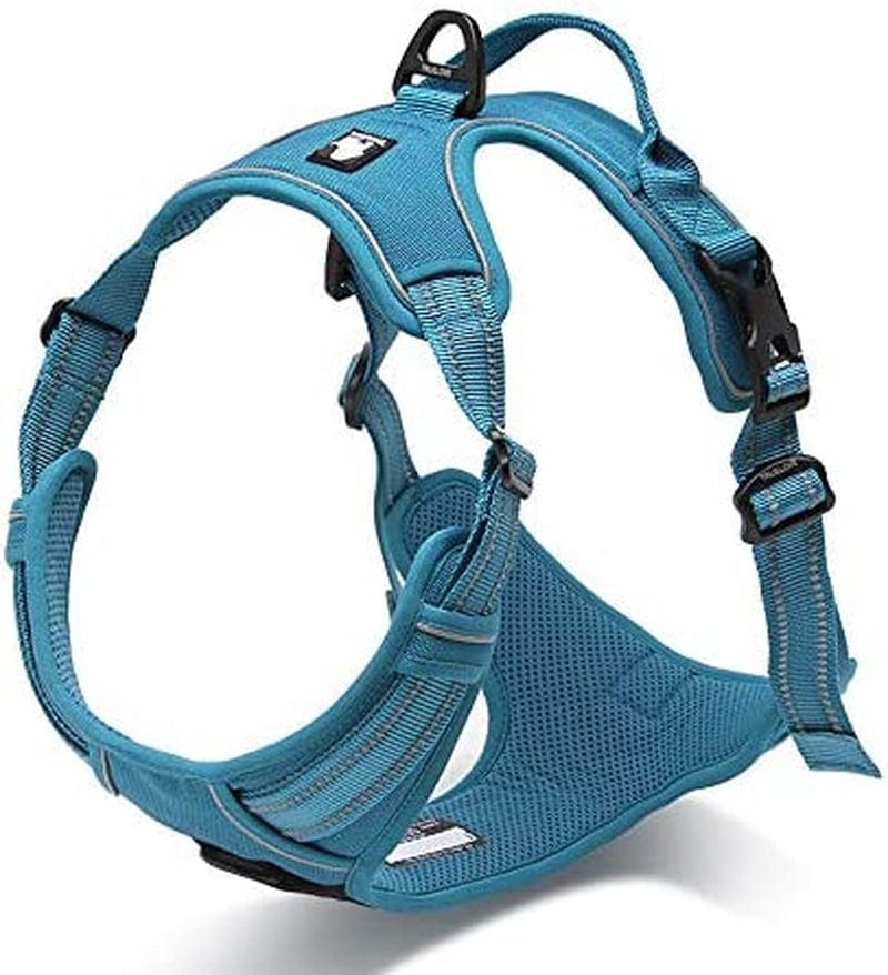 WINHYEPET True Love Dog Harness, No-Pull Reflective Pet Harness with 2 Leash Clips Adjustable Soft Padded Dog Vest with Easy Control Handle for Small Medium Large Dogs Tlh5651(Blue,L) Animals & Pet Supplies > Pet Supplies > Dog Supplies > Dog Apparel Winhyepet   