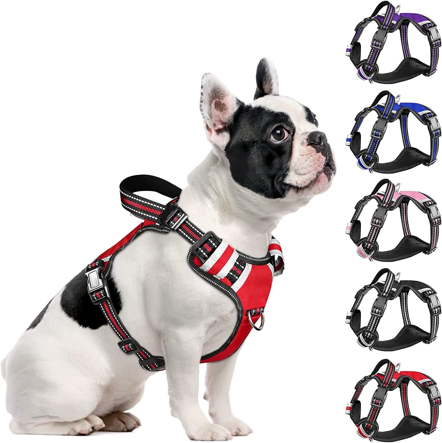 WINSEE Dog Harness No Pull, 4 Snap Buckles Pet Harness with 2 Leash Clips, Adjustable Soft Padded Dog Vest, Reflective Pet Oxford Walking Vest with Easy Control Handle, NO Need Go over Dog’S Head Animals & Pet Supplies > Pet Supplies > Dog Supplies > Dog Apparel WINSEE Red M（Neck : 17-24" , Chest: 18-31.5"） 