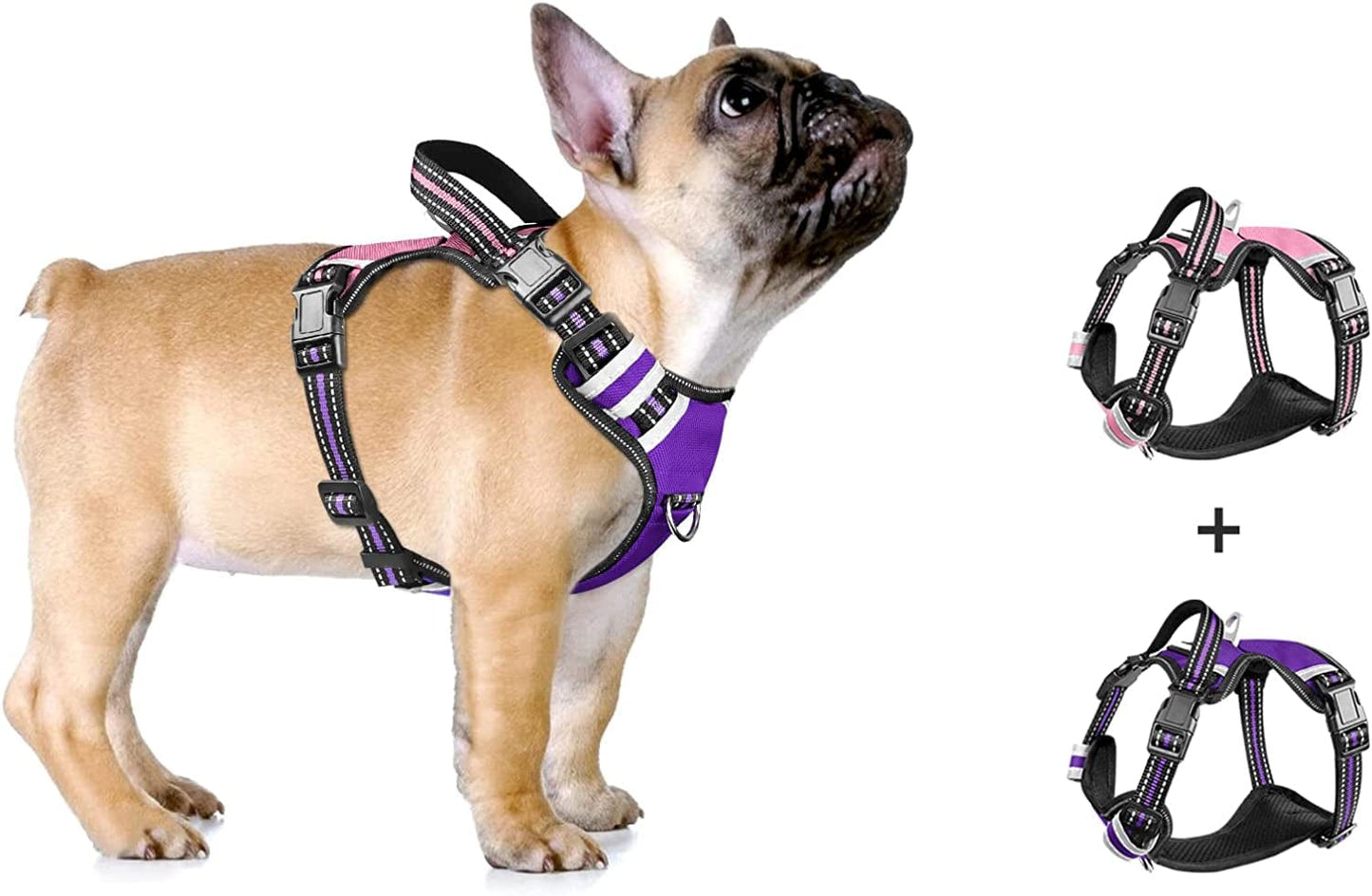 WINSEE Dog Harness No Pull, 4 Snap Buckles Pet Harness with 2 Leash Clips, Adjustable Soft Padded Dog Vest, Reflective Pet Oxford Walking Vest with Easy Control Handle, NO Need Go over Dog’S Head Animals & Pet Supplies > Pet Supplies > Dog Supplies > Dog Apparel WINSEE Pink&Purple S（Neck : 16-20.5" , Chest: 17-26"） 