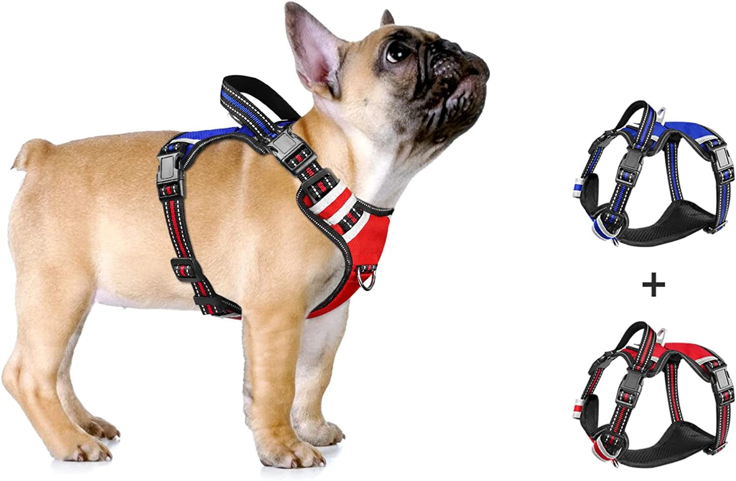 WINSEE Dog Harness No Pull, 4 Snap Buckles Pet Harness with 2 Leash Clips, Adjustable Soft Padded Dog Vest, Reflective Pet Oxford Walking Vest with Easy Control Handle, NO Need Go over Dog’S Head Animals & Pet Supplies > Pet Supplies > Dog Supplies > Dog Apparel WINSEE Red&Dark Blue S（Neck : 16-20.5" , Chest: 17-26"） 