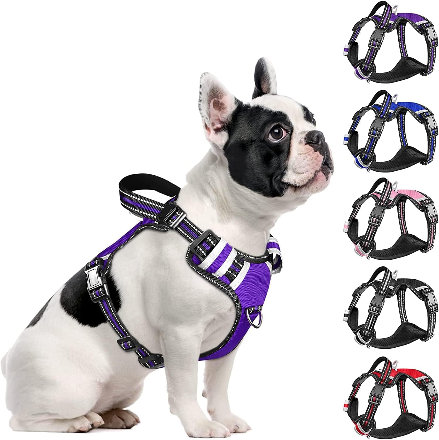 WINSEE Dog Harness No Pull, 4 Snap Buckles Pet Harness with 2 Leash Clips, Adjustable Soft Padded Dog Vest, Reflective Pet Oxford Walking Vest with Easy Control Handle, NO Need Go over Dog’S Head Animals & Pet Supplies > Pet Supplies > Dog Supplies > Dog Apparel WINSEE Purple M（Neck : 17-24" , Chest: 18-31.5"） 